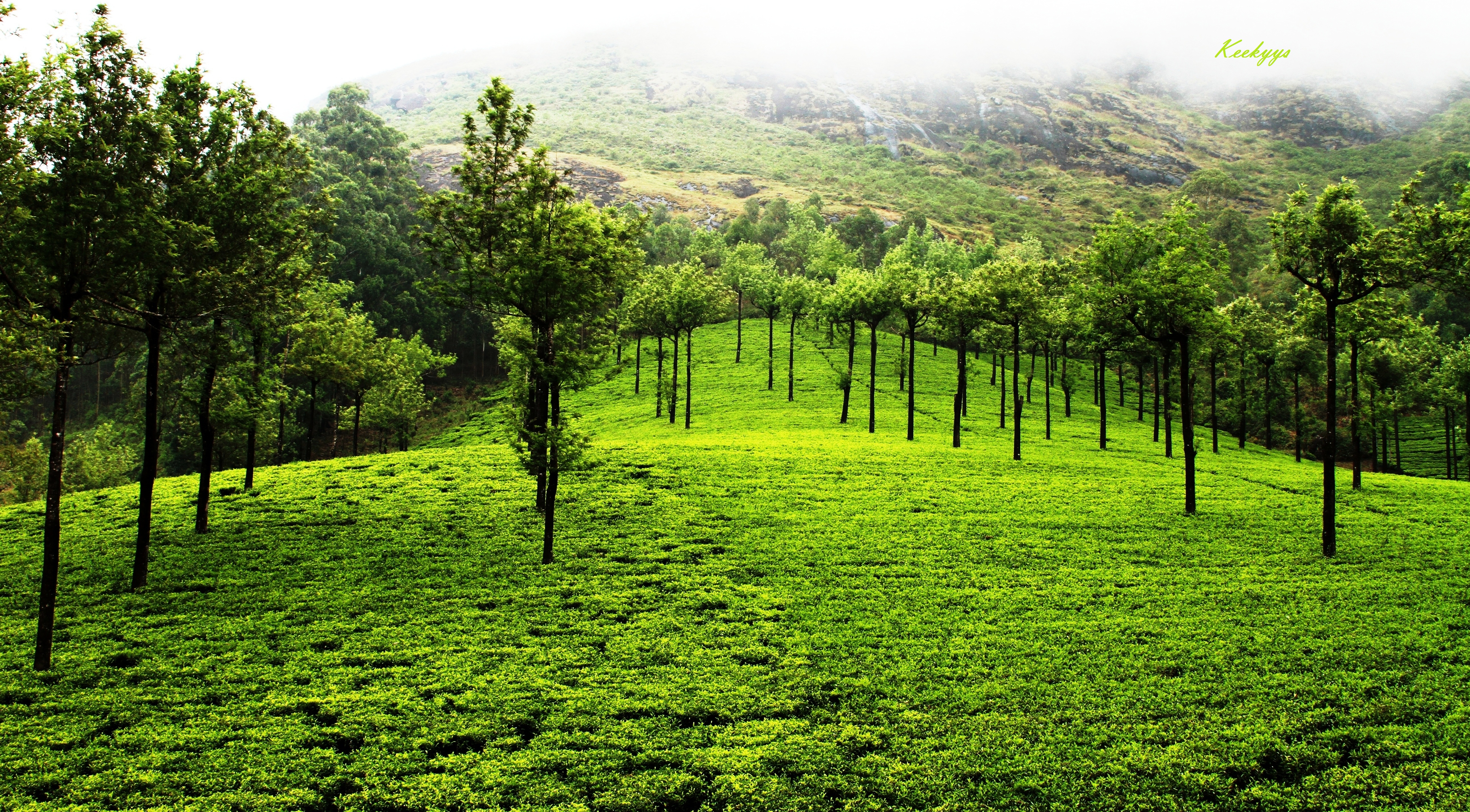 Kerala Nature Photography Kerala Nature Photo Gallery